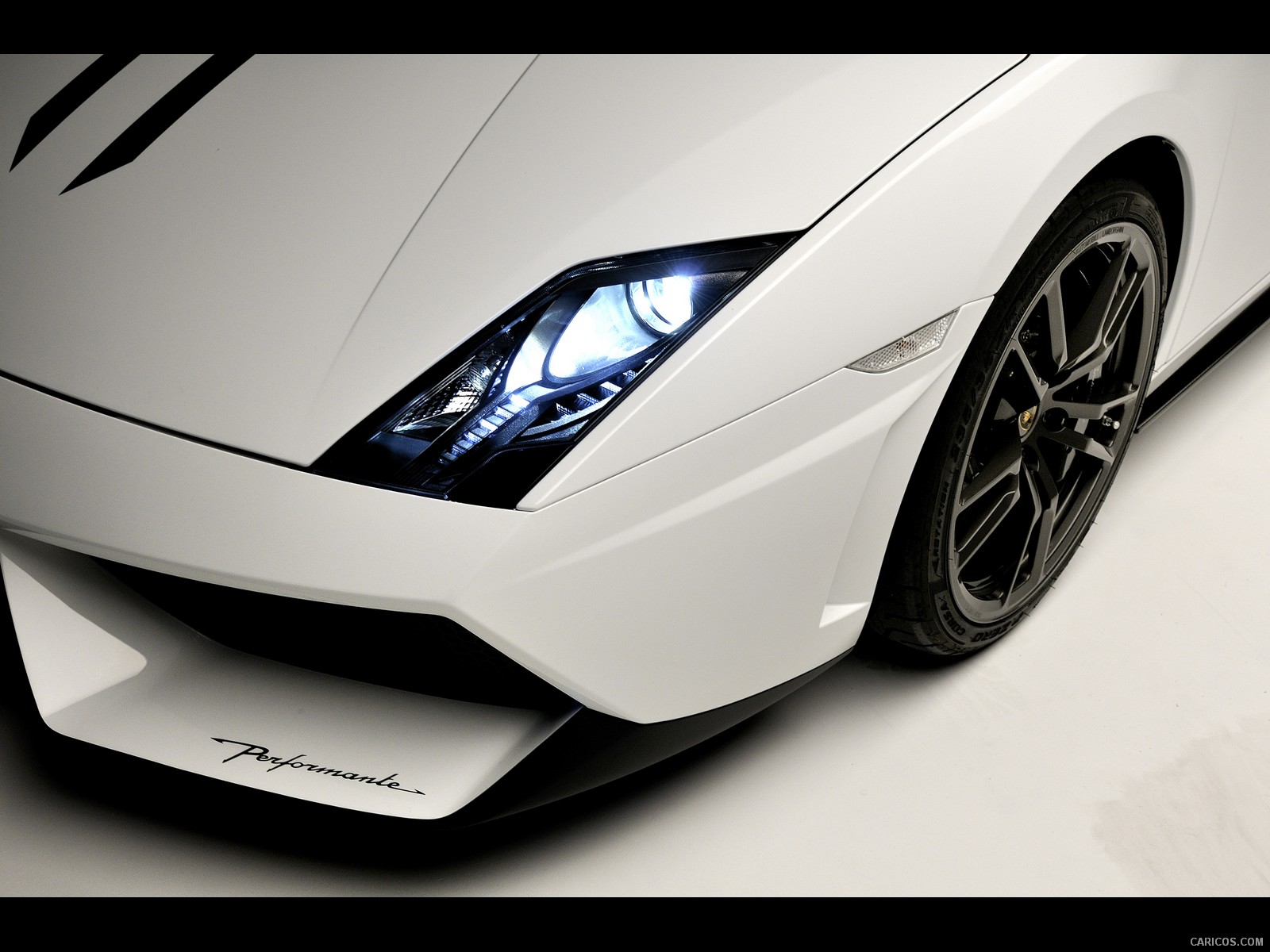 lamborghini gallardo